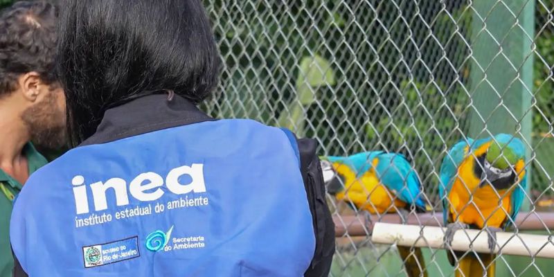 Animais silvestres são resgatados no Rio de Janeiro