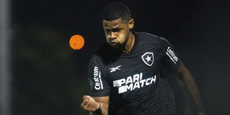 Botafogo garante presença na fase de grupos da Copa Libertadores