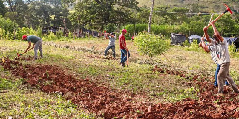 Justiça nega reintegração em fazenda ocupada pelo MST em Minas Gerais