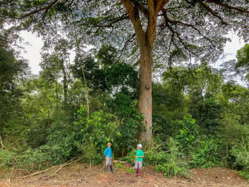 Mato Grosso -  A pesquisadora Márcia Macedo e o pesquisador é Leonardo Santos. O impacto da agricultura no ciclo hídrico, na Fazenda Tanguro, em MT. Foto: Fabiola Sinimbu/Agência Brasil