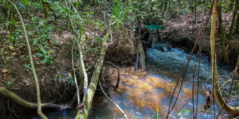 Pesquisa de longo prazo aponta impacto ambiental da agricultura