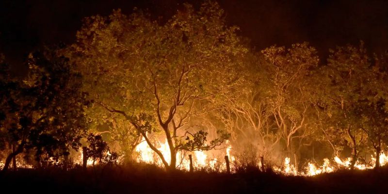 Roraima tem 45% do total de focos de queimadas do país em fevereiro