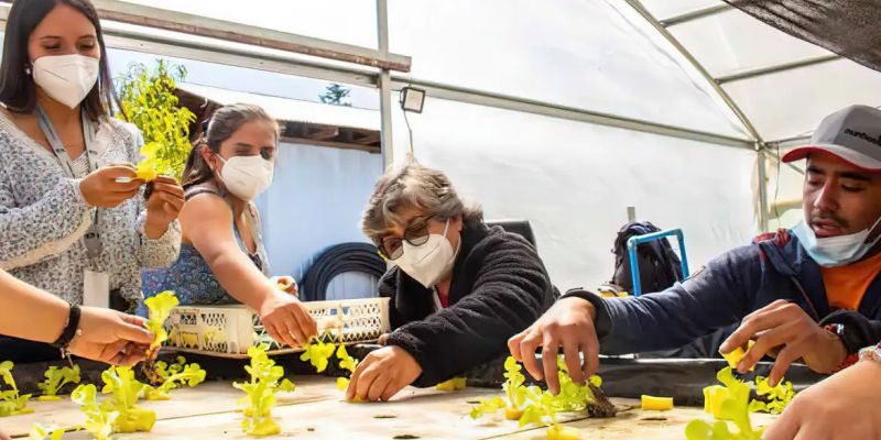 Chileno cria projeto para facilitar acessibilidade no campo