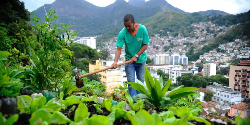 Produção local pode melhorar alimentação em centros urbanos