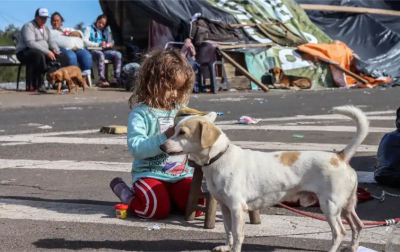 Porto Alegre - Moradores desabrigados da Vila Santo André, divisa de Porto Alegre e Canoas, montam acampamento na rodovia, esperando baixar a água que invadiu suas casas - Foto Rafa Neddermeyer/Agência Brasil