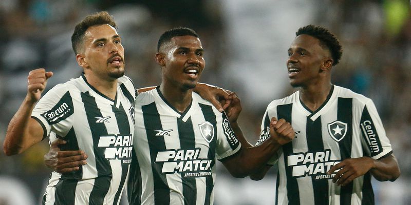 Botafogo joga futuro na Libertadores diante da LDU no Nilton Santos