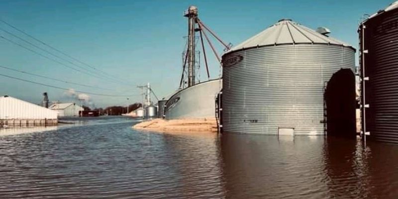 Lavoura, maquinário, animais: chuvas no RS prejudicam agropecuária