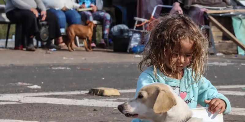 RS: mais 37 mil famílias recebem Auxílio Reconstrução de R$ 5,1 mil