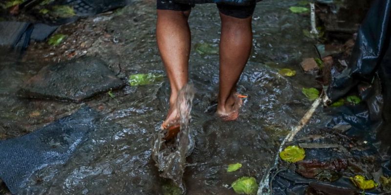 Número de mortes por leptospirose chega a 15 no Rio Grande do Sul