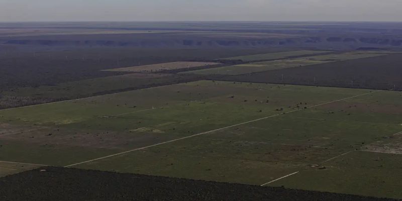 Em meio à expansão do desmatamento, Piauí debate nova lei ambiental