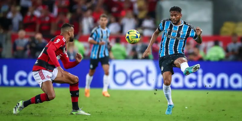 Flamengo recebe Grêmio no Maracanã mirando a ponta do Brasileiro