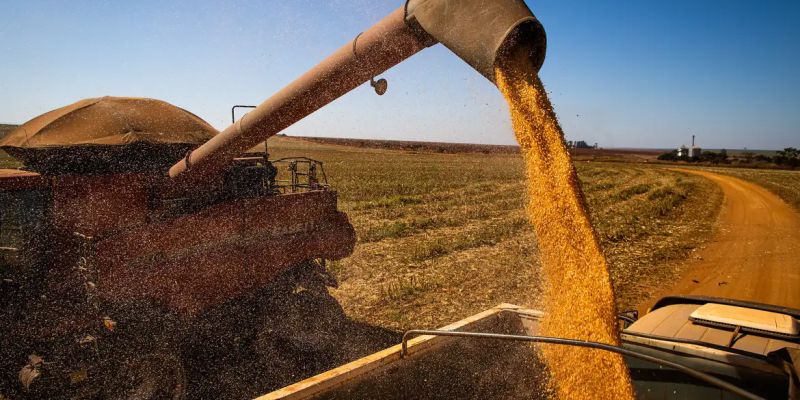 Brasil colherá 297,5 milhões de toneladas de grãos, estima a Conab