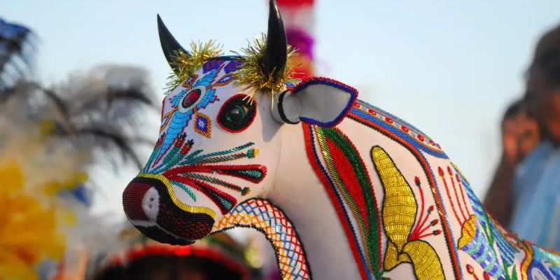 Boi de Axixá e Boi da Maioba são atrações de arraial em São Luís (MA)