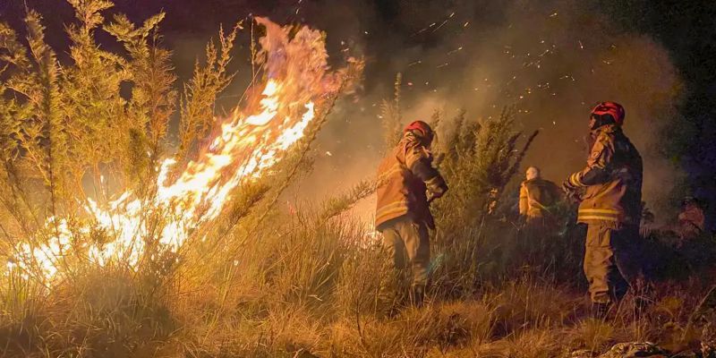 Fogo atinge 200 hectares do Parque Nacional do Itatiaia