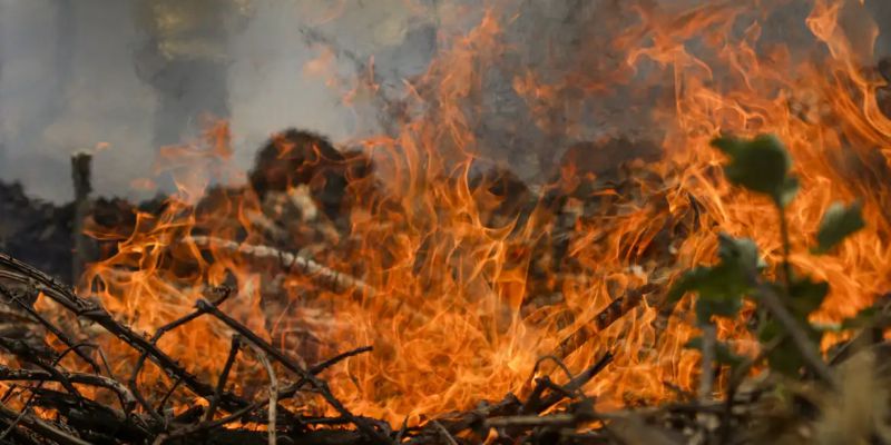 Quase 1/4 do território brasileiro pegou fogo nos últimos 40 anos