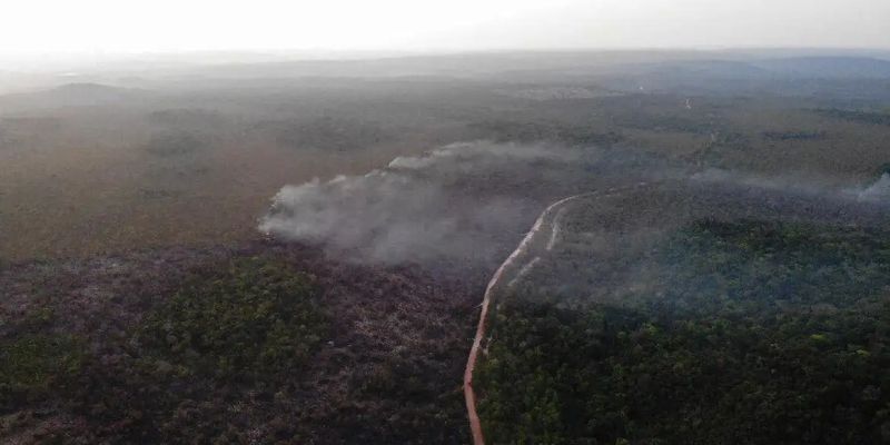 Área queimada no Brasil cresce 248% em relação a janeiro de 2023