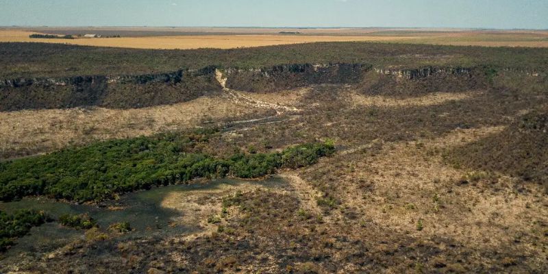 Desmatamento no Cerrado cai 48% em janeiro, mostra instituto